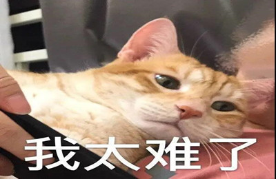 想进藤校，托福成绩要达到什么水平？