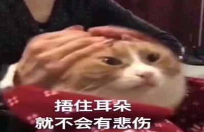 加拿大顶级商学院录取数据来了！（附GMAT成绩）